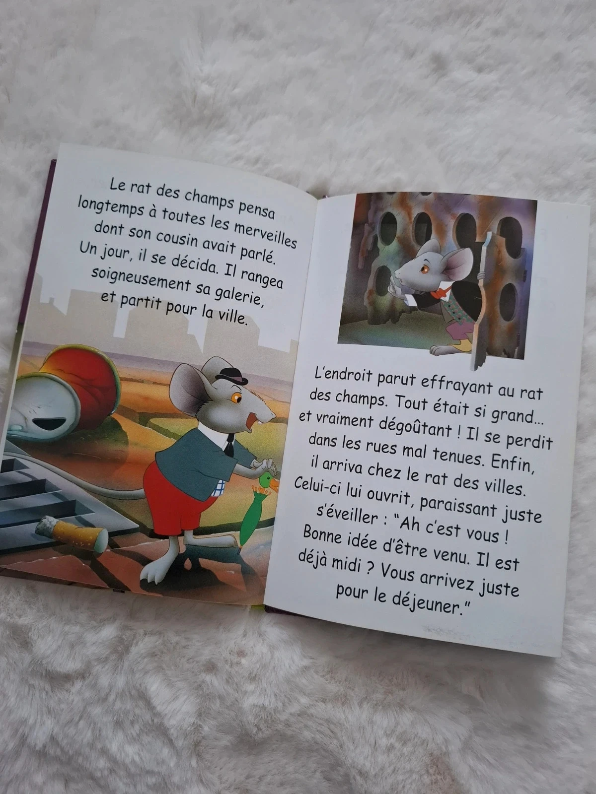 📚 book first reading rats of the city and rats of the country level 3 Van gool – photo 11
